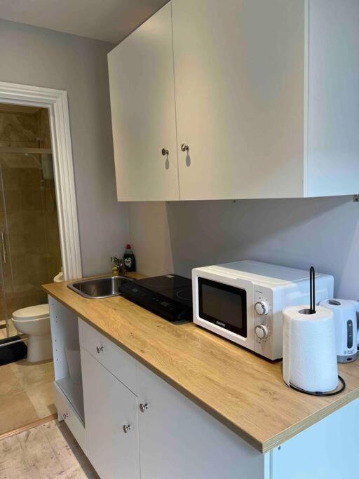 Newly Built Large Garden Ensuite Guest Studio Borehamwood Ngoại thất bức ảnh