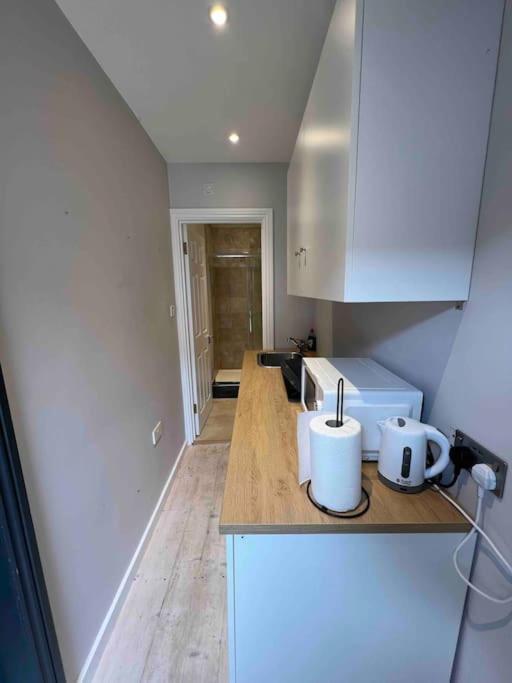 Newly Built Large Garden Ensuite Guest Studio Borehamwood Ngoại thất bức ảnh