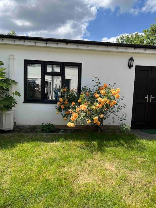 Newly Built Large Garden Ensuite Guest Studio Borehamwood Ngoại thất bức ảnh